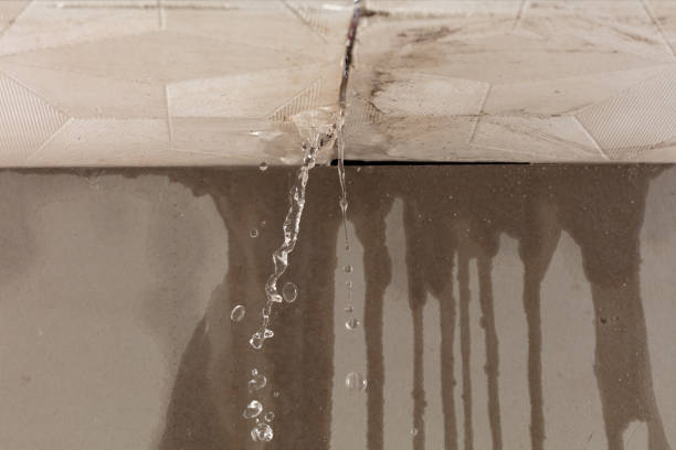 Professional Sewage Cleanup technician working in Nicholson, MS